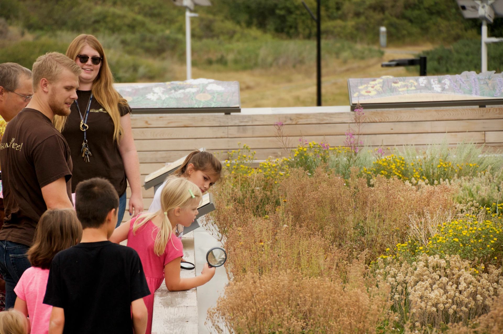 Children use magnifying tools to examine plants in a garden bed at the festival.