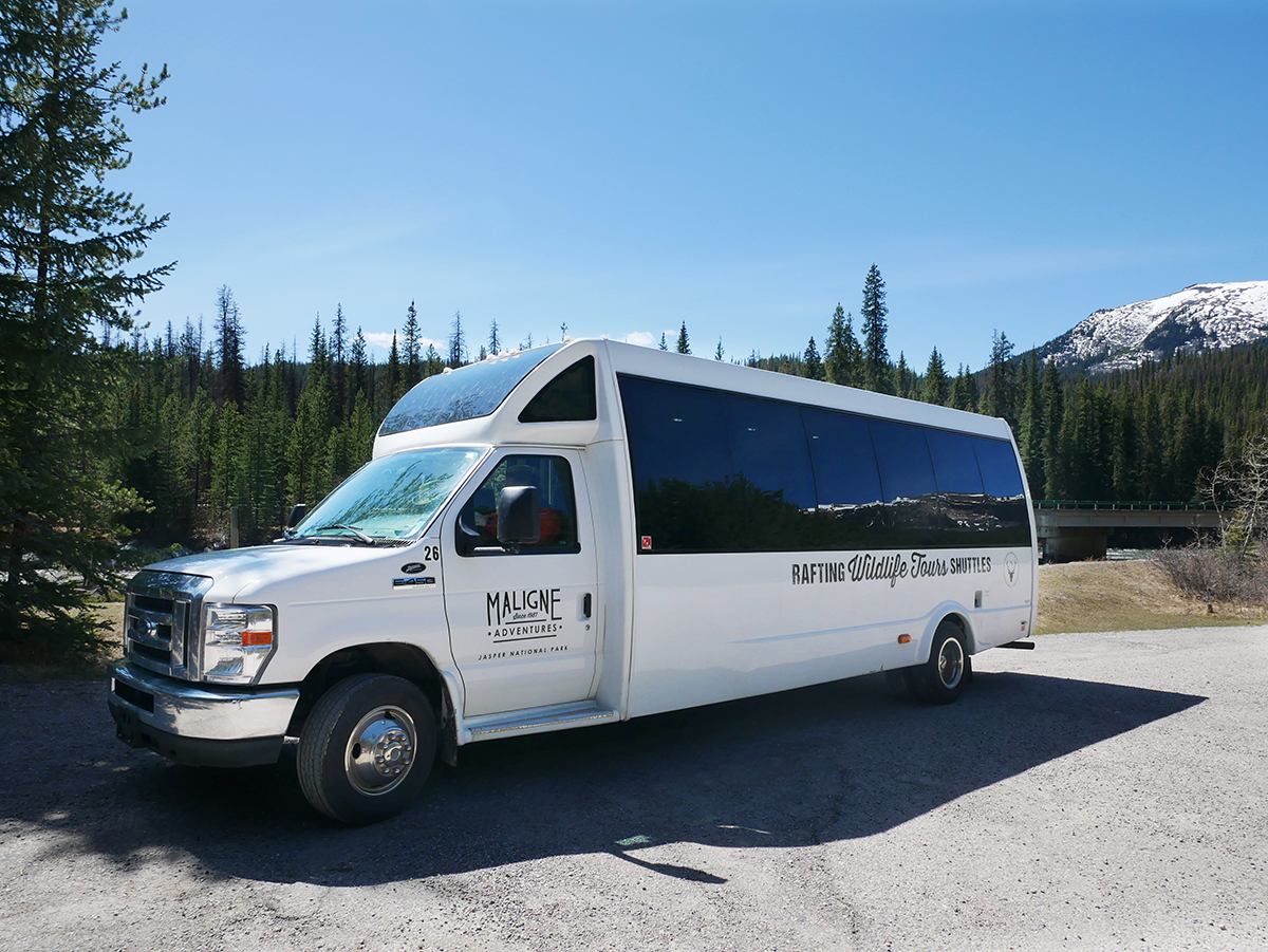 The wildlife tour bus