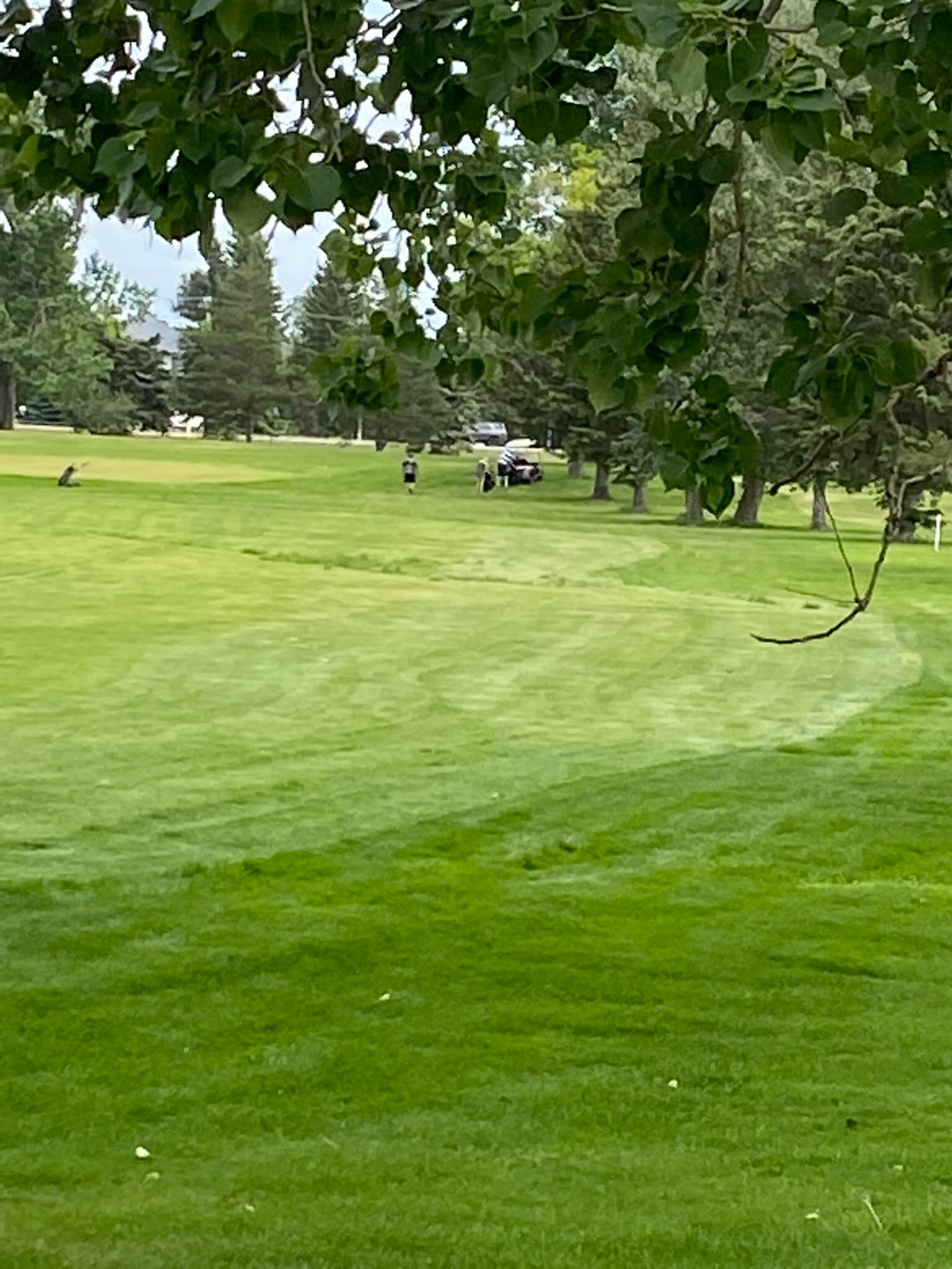 Golfers and a cart in the distance on a green fairway framed by trees. 