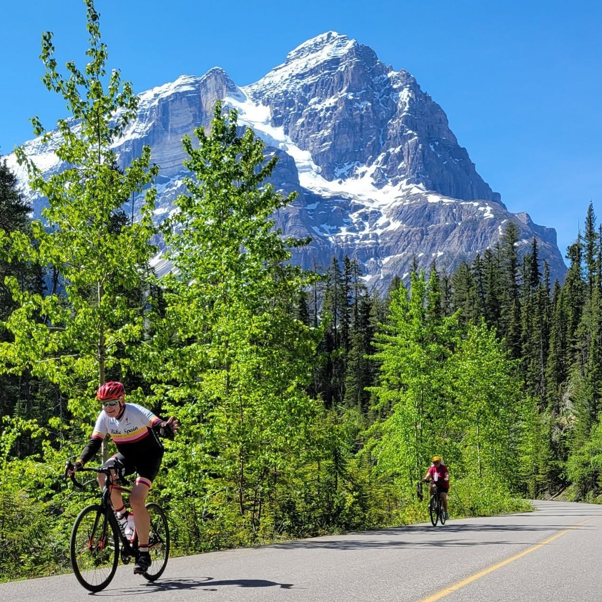 Cyclists ride a forest road beneath a snow-covered mountain and blue sky.