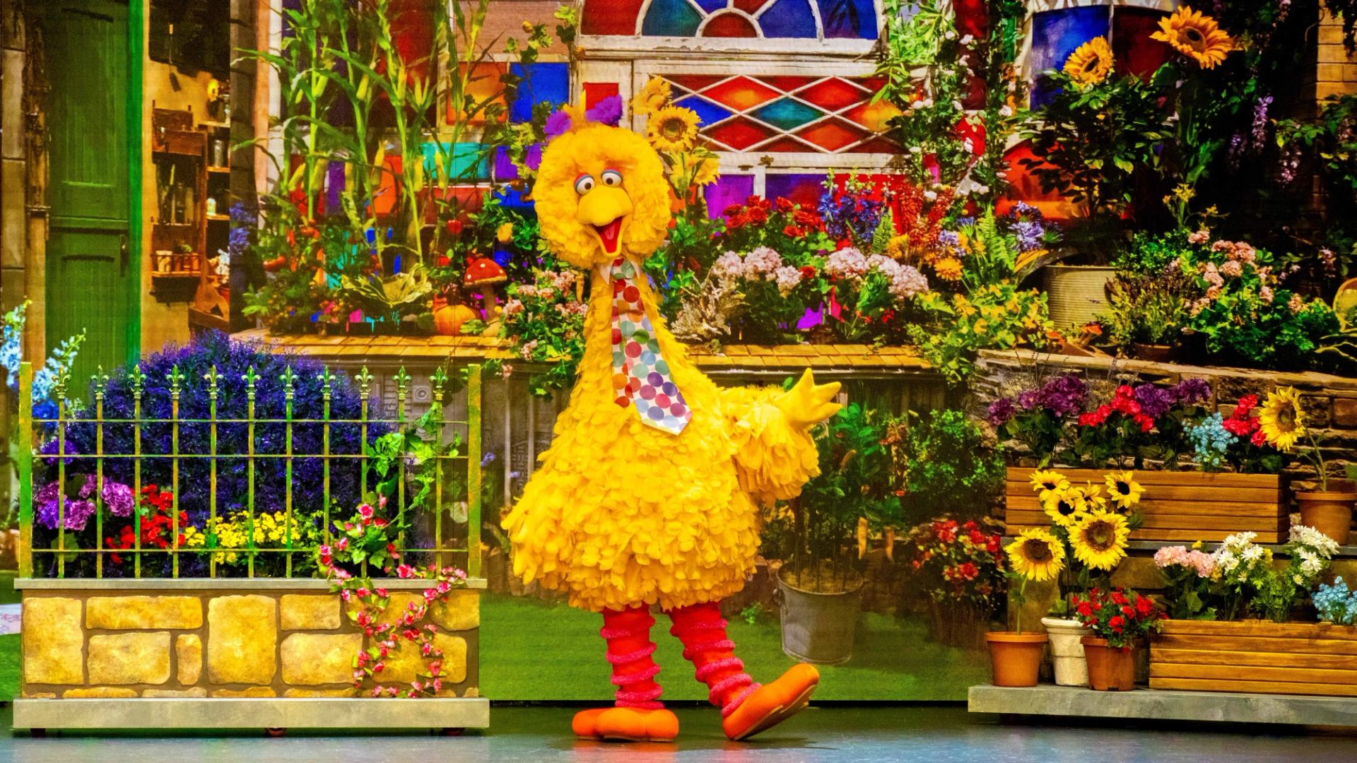 Yellow feathered costumed character stands on stage surrounded by colourful flowers and plants.