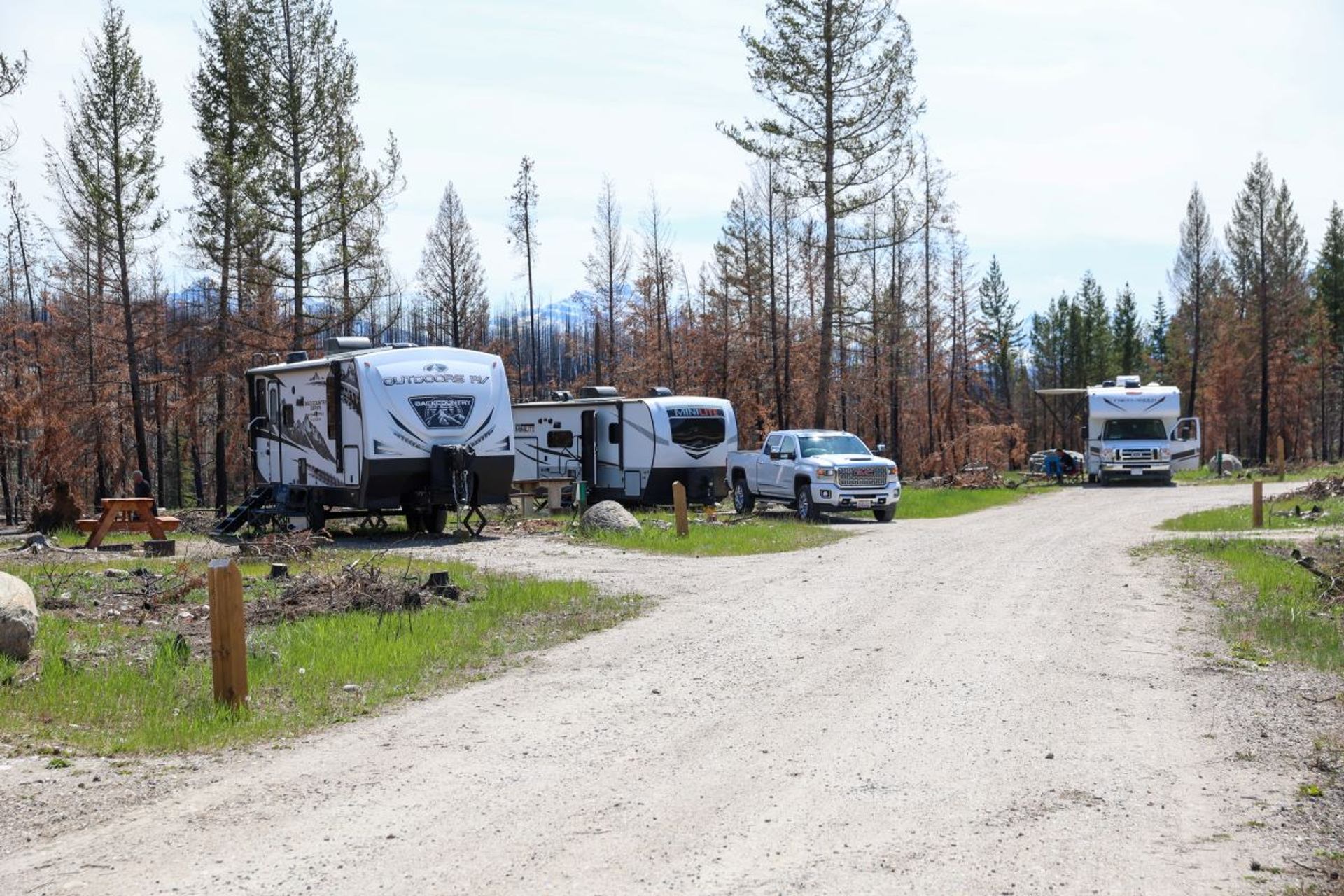 Recreational vehicles and a pickup truck parked along a gravel road in a forested campground.