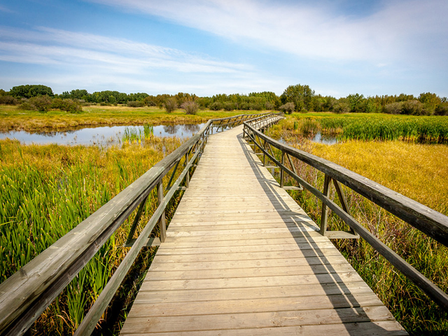 A scenic shot of the boardwalk at Brewers Campground.