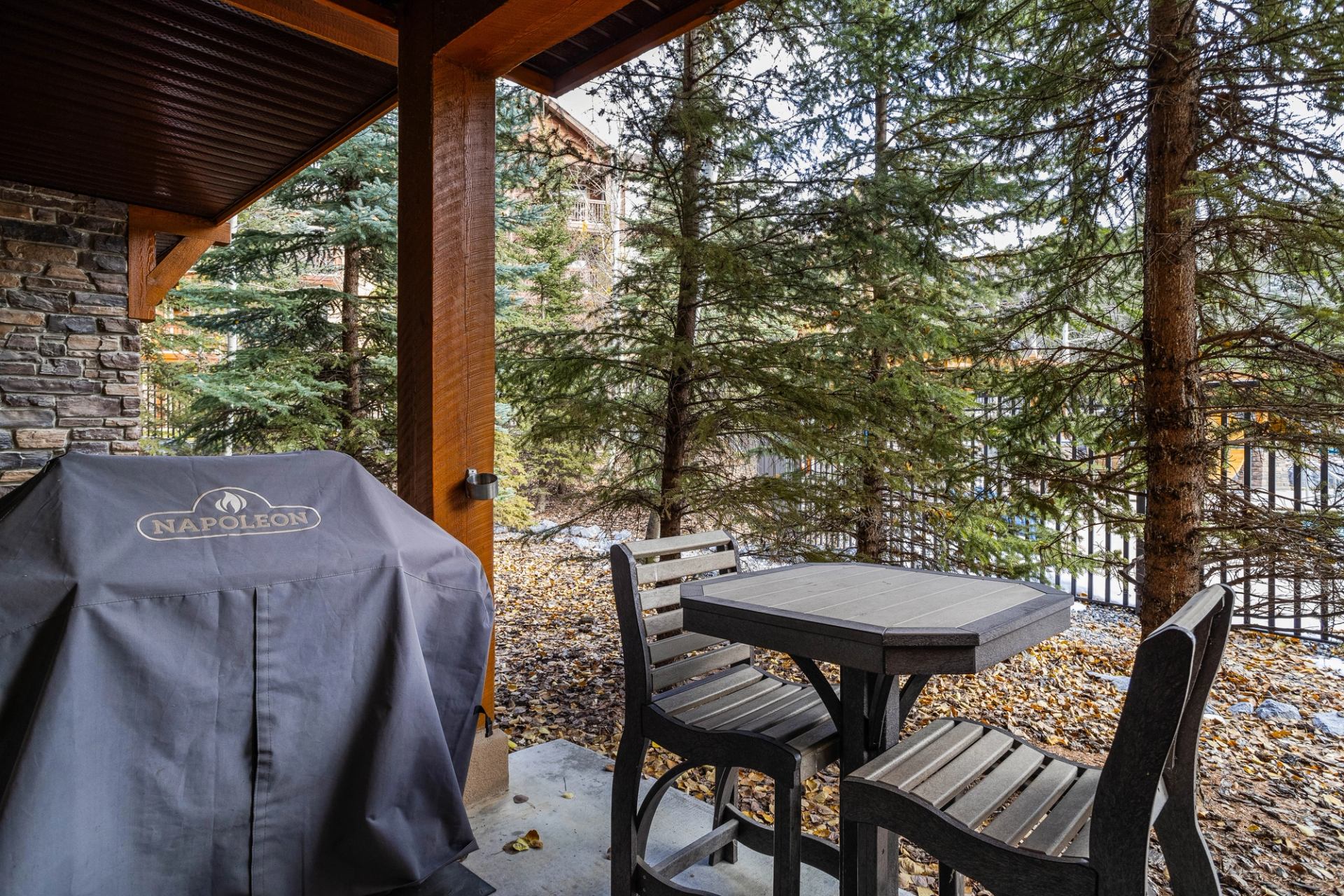 Covered patio with Napoleon barbecue, small table, chairs and tall evergreen trees.