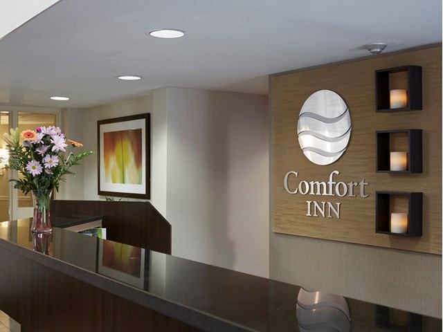 Front desk at Comfort Inn with modern decor, flowers, and branded wall sign.