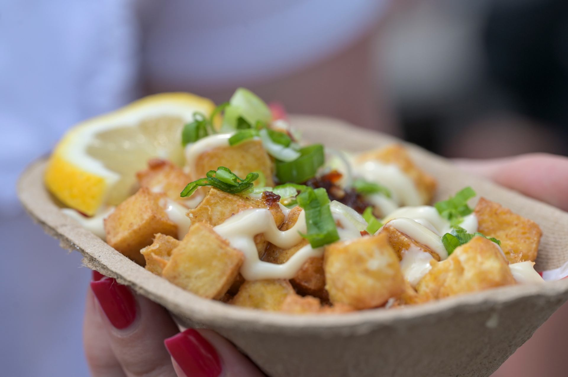 Close-up of a food tray with fried bites, sauce, and green onions.