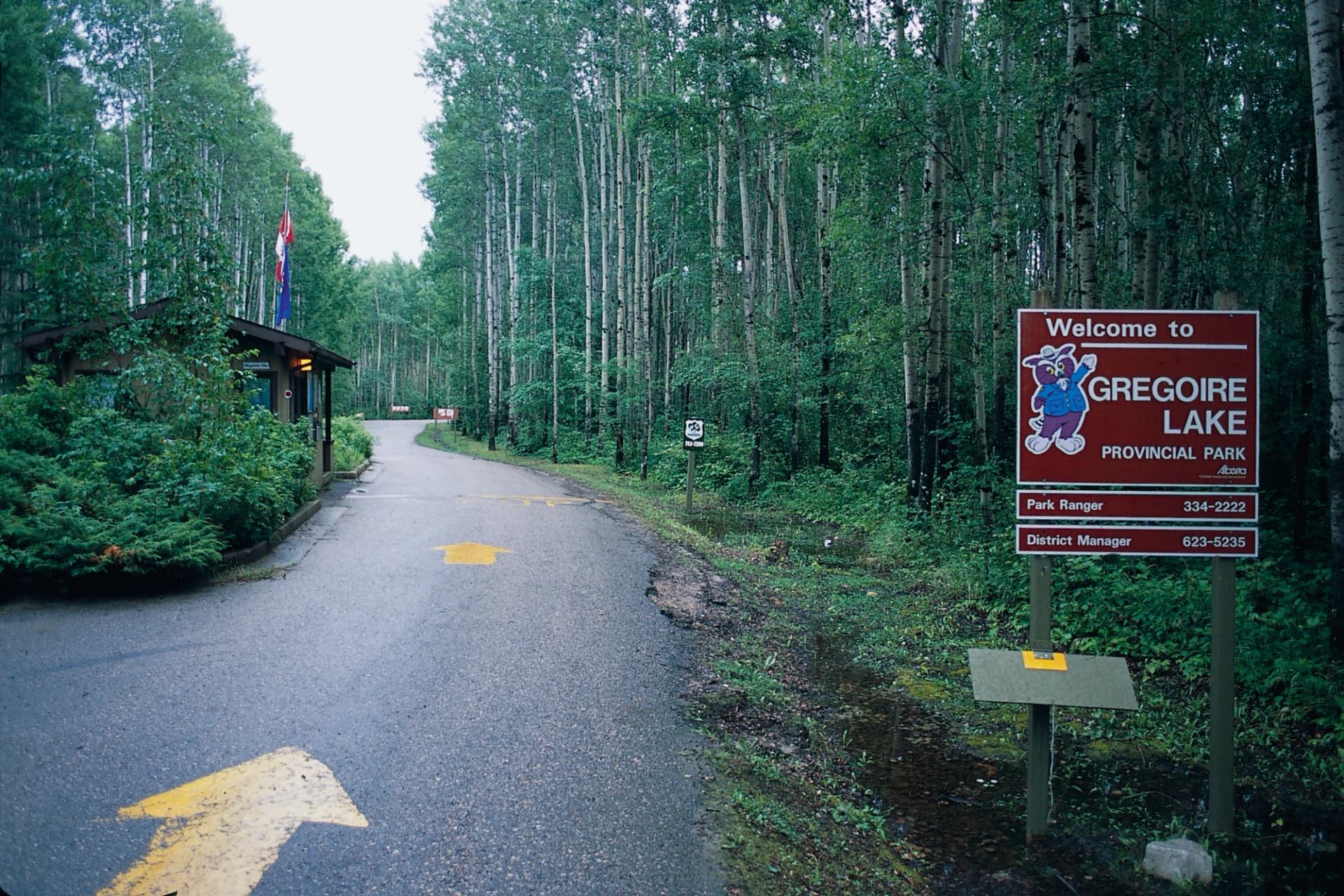 Entrance road to Gregoire Lake Provincial Park with welcome sign and surrounding forest.