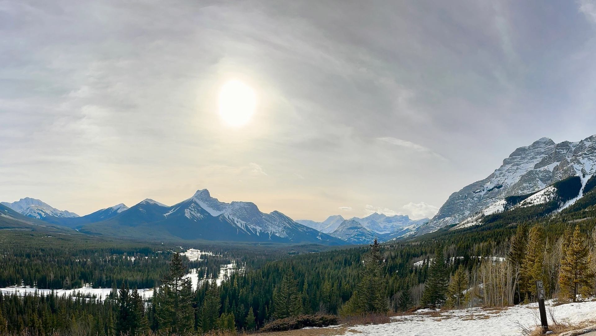 Snow-capped mountain range above dense evergreen forest under hazy sun and pale sky.