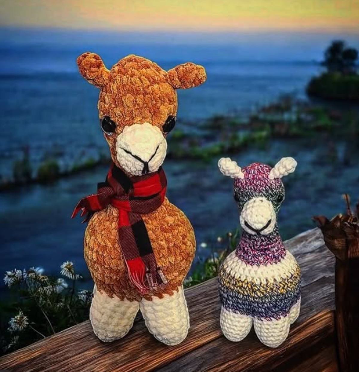 Crocheted llamas stand on a wooden railing overlooking the ocean.