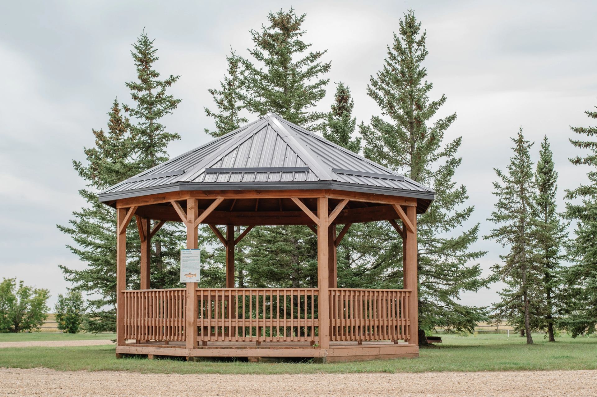 Wooden gazebo with metal roof stands on grass, framed by tall evergreen trees.