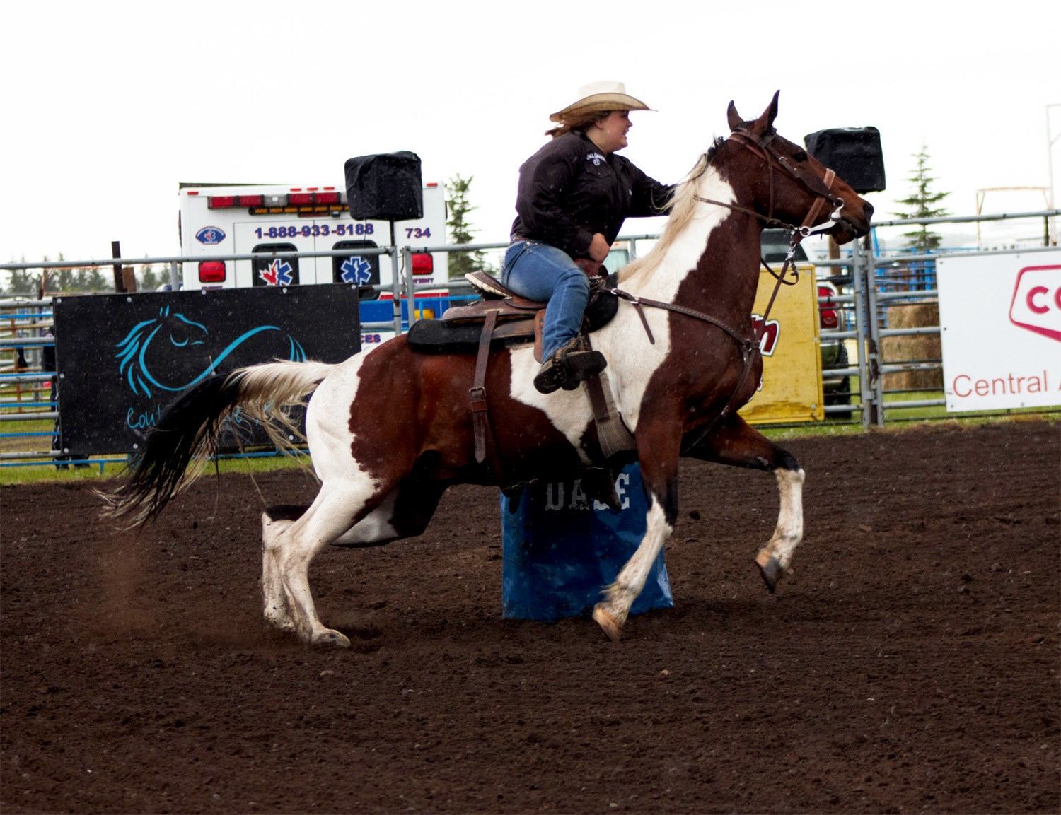 Rider on brown and white horse turns around blue barrel in rodeo arena.