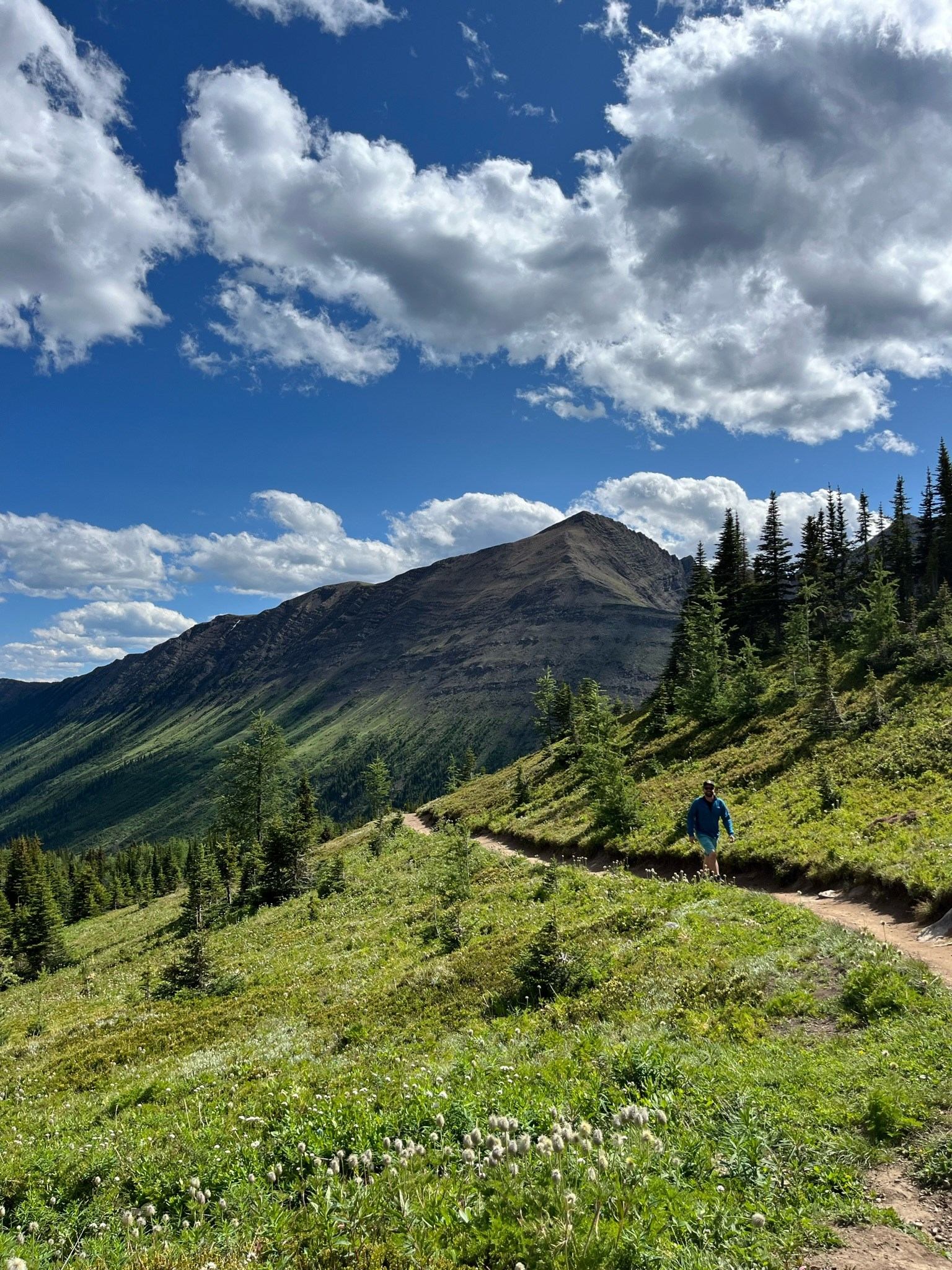 Hiker on a mountain trail with green hills and a bright, cloud-filled blue sky.