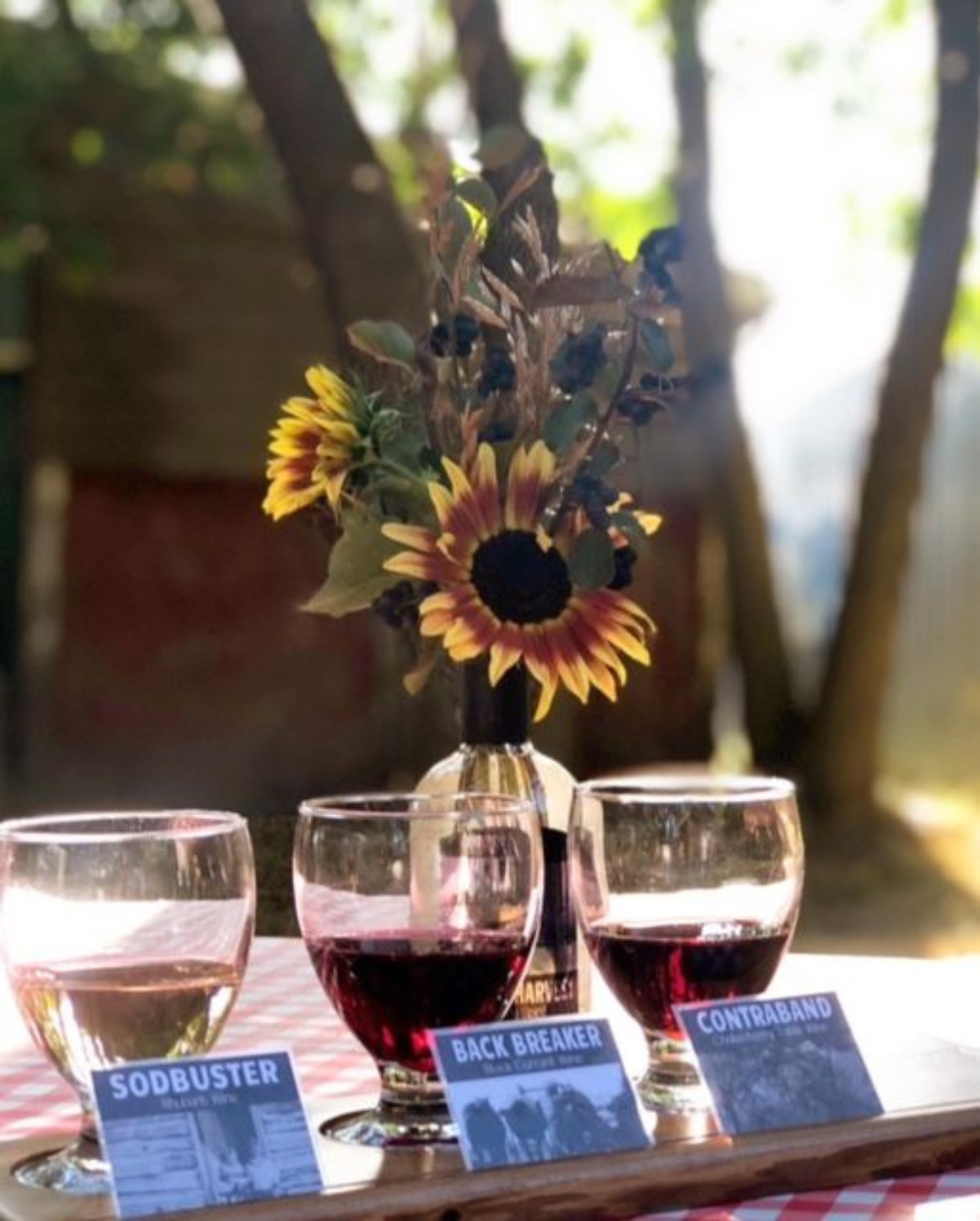Wine flight glasses on checkered table with sunflower bouquet and labelled tasting cards.