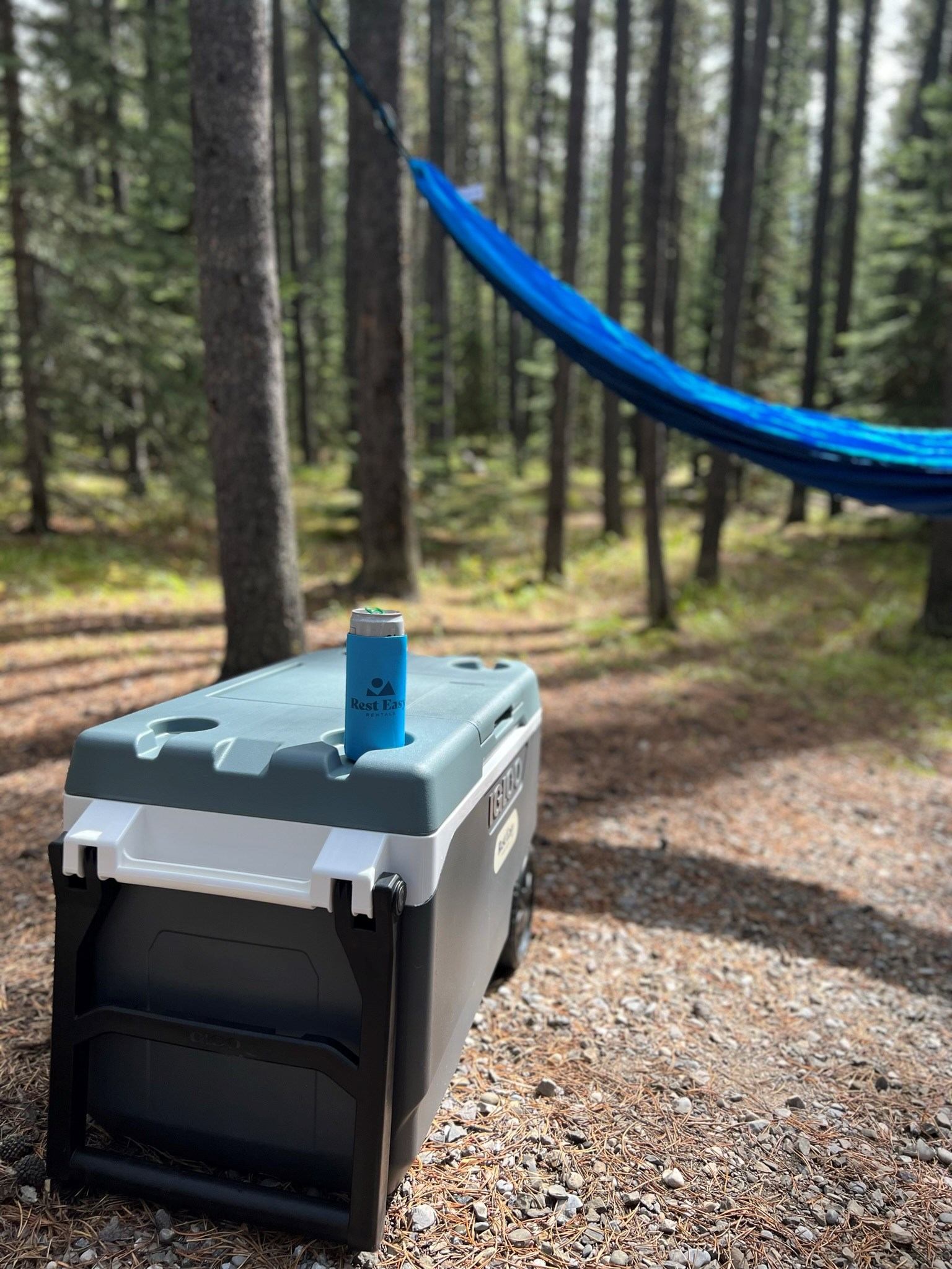 Cooler and hammock in forest campsite with sunlight filtering through trees.