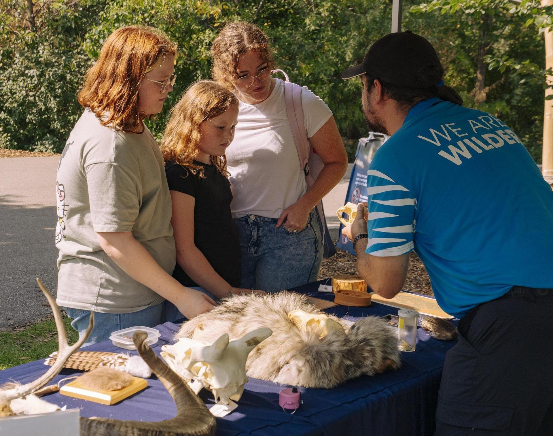 Three visitors look at animal specimens and educational materials displayed on a table while a presenter shares information.