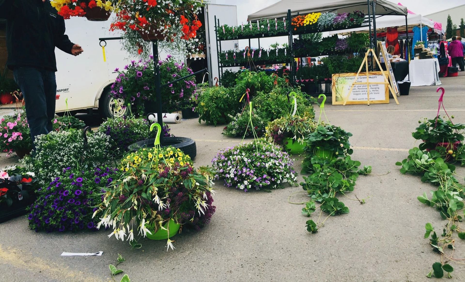 Flower stalls at Leduc Farmers’ Market, with hanging planters and potted blooms on display.