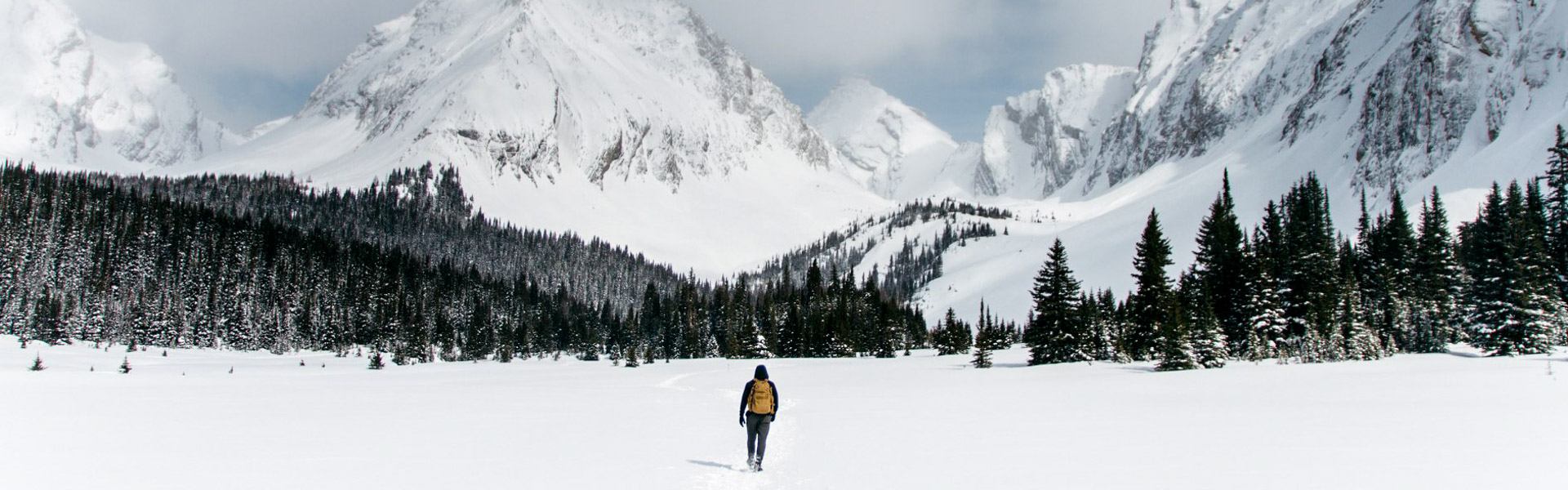 A person with a yellow backpack walks across a snowy field towards snow-covered mountains and evergreen trees.