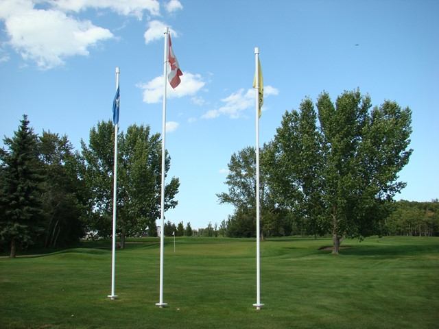 Golf course flags on tall poles with green fairway and trees in background.