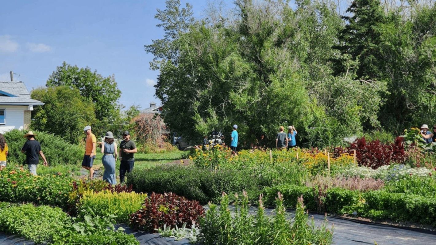 People walking through lush garden beds beside a small house and tall trees.