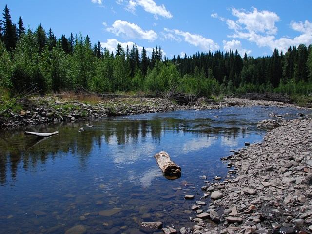 A creek at North Fork Campground