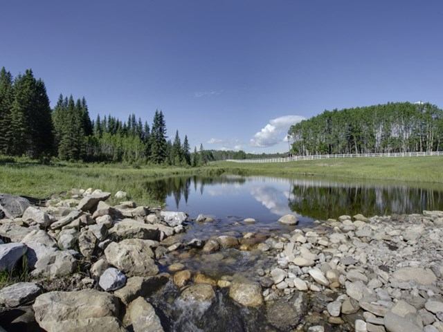 Rocky stream flowing into a calm pond surrounded by trees under a clear blue sky.