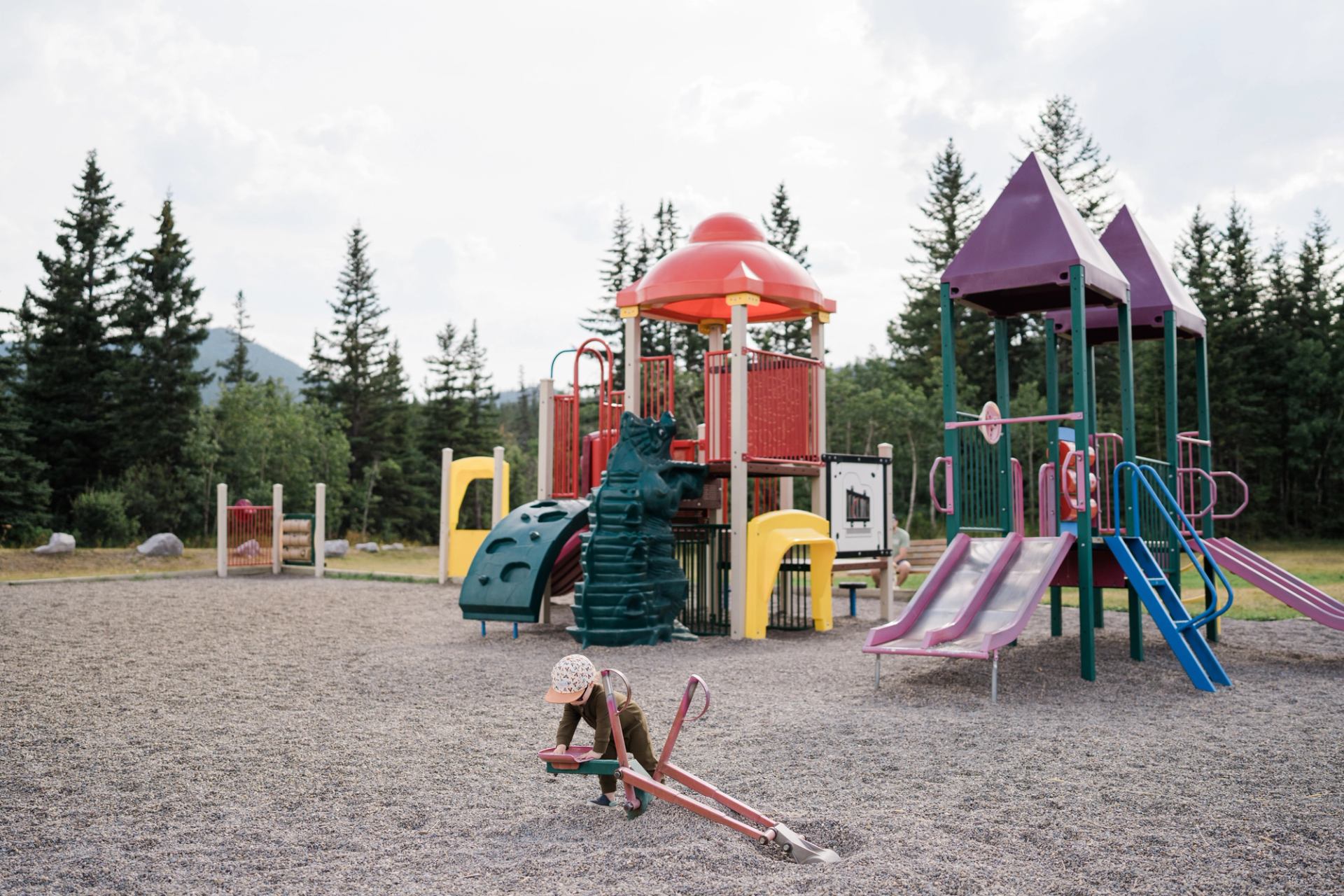 A colourful playground with slides and towers set in front of tall evergreen trees.