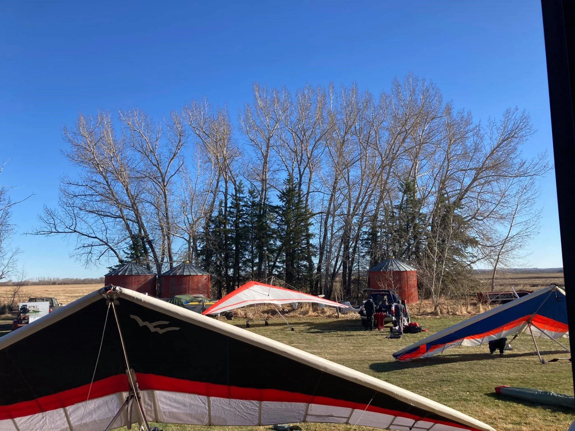Multiple hang gliders set up on a grassy field with trees and blue sky in the background.