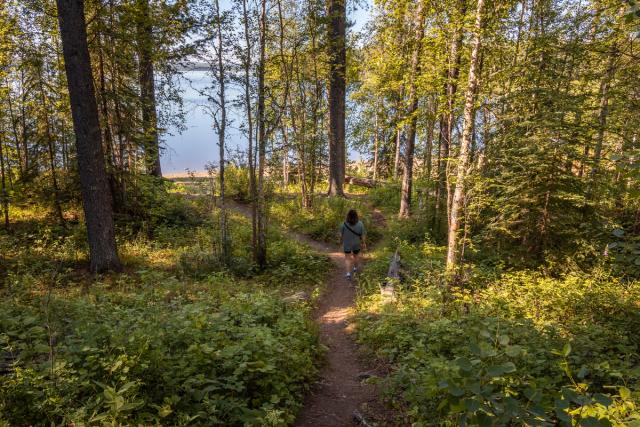 A trail at Musreau Lake Campground.