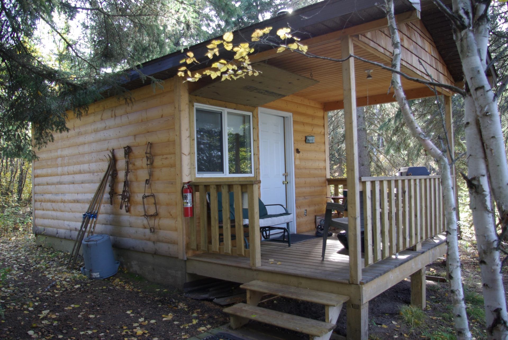 Rustic cabin with porch seating nestled in a quiet wooded area.