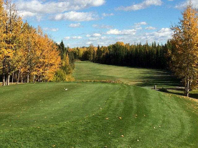 Golf fairway at Cougar Creek Golf Resort with trees and cloudy sky in background.