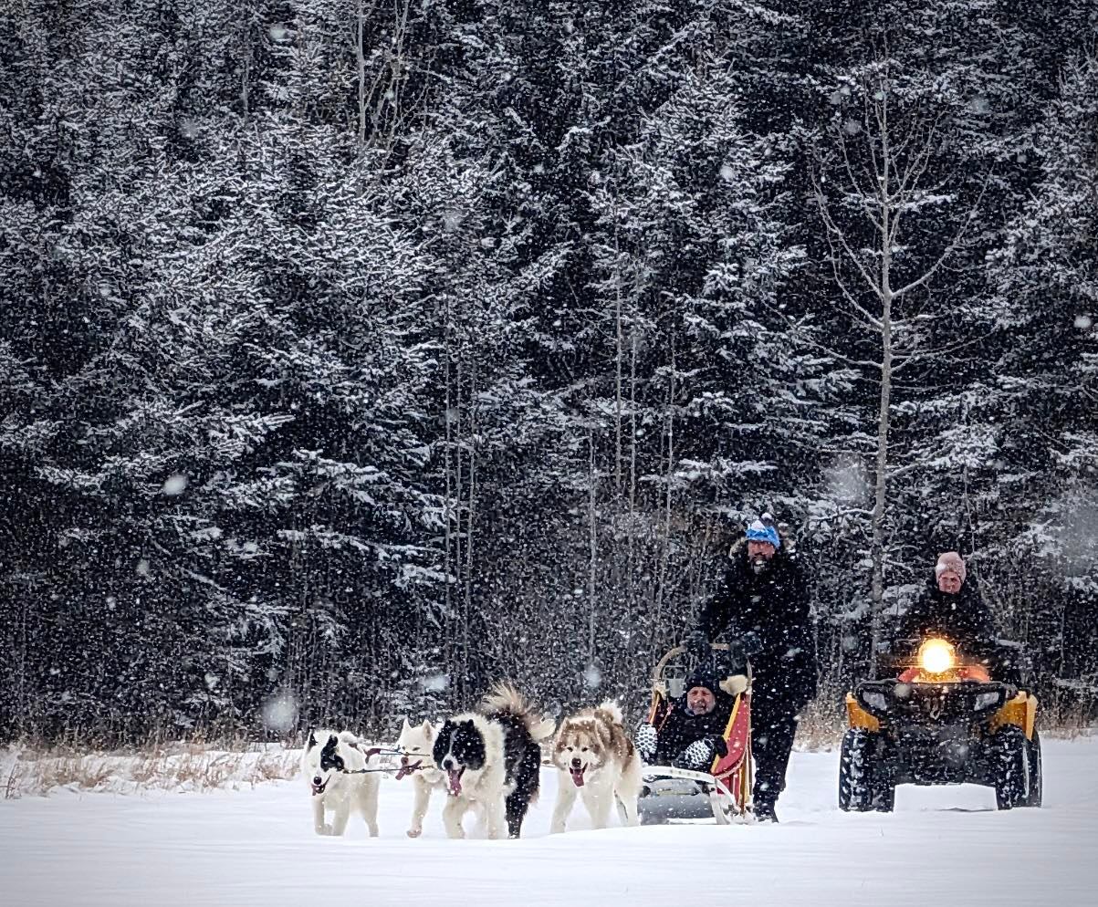 Dog sled team pulls a person across snowy field beside idling snow-covered ATV.