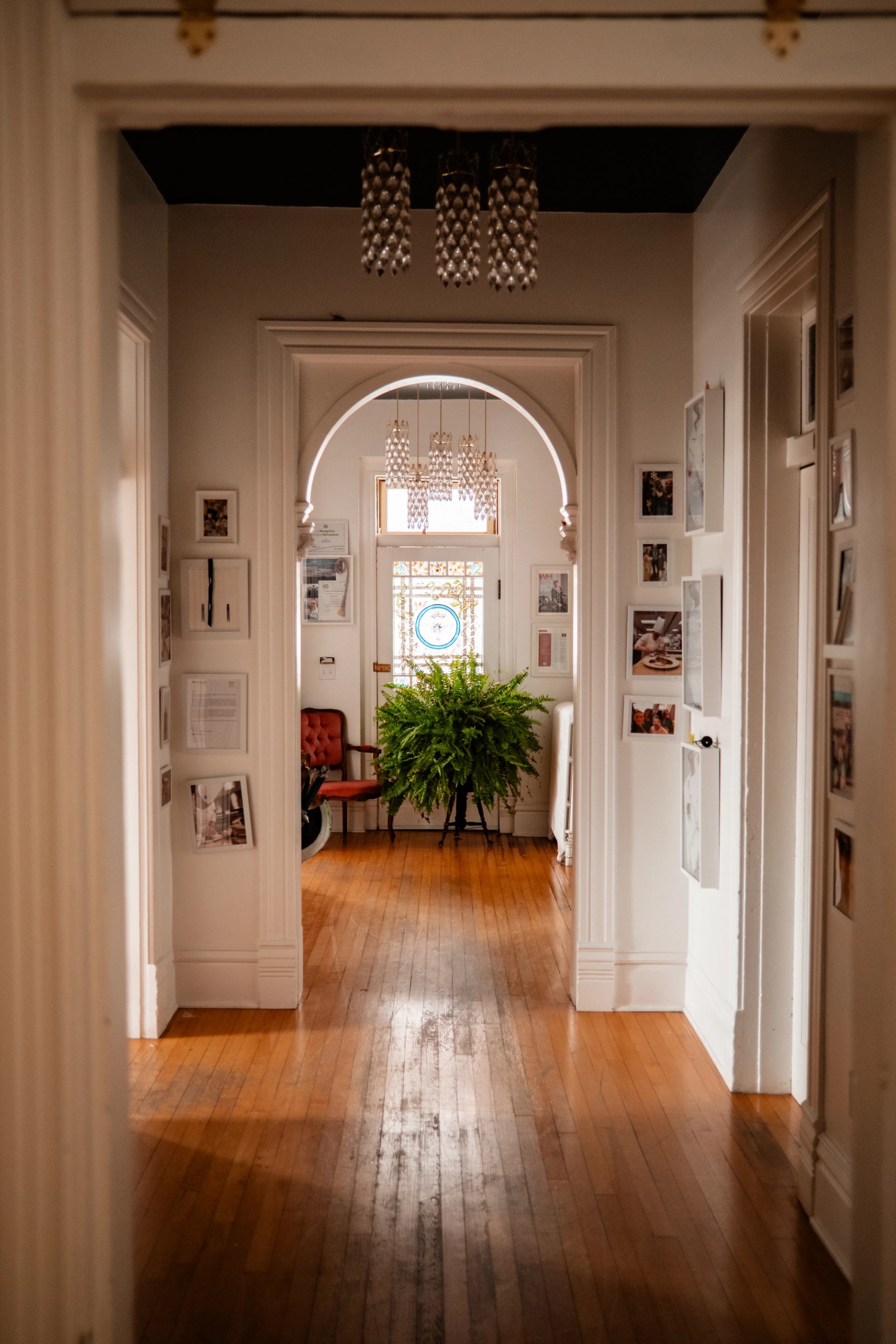 From the business's view, a bright hallway features arches, chandeliers, framed photos, and a lush fern.