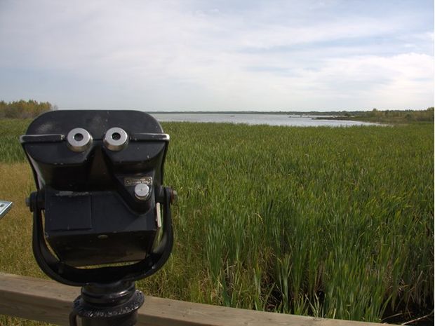 A tower viewer telescope at Aspen Beach Provincial Park.