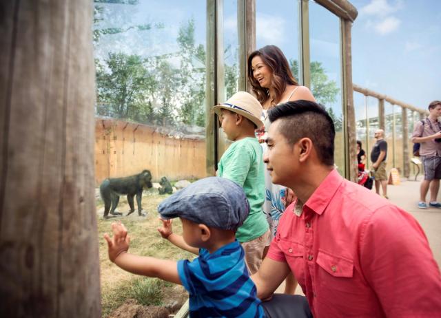 Family at mandrill enclosure at Calgary Zoo.