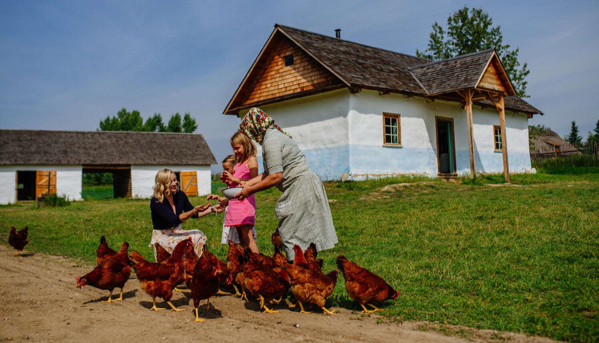 Historic farmhouse scene with people feeding chickens on a sunny day at Ukrainian Cultural Heritage Village.