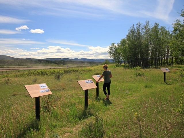 Visitor looking at an informative plaque with a blue sky in the background.