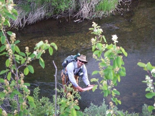 Angler standing in a clear creek surrounded by green shrubs and trees