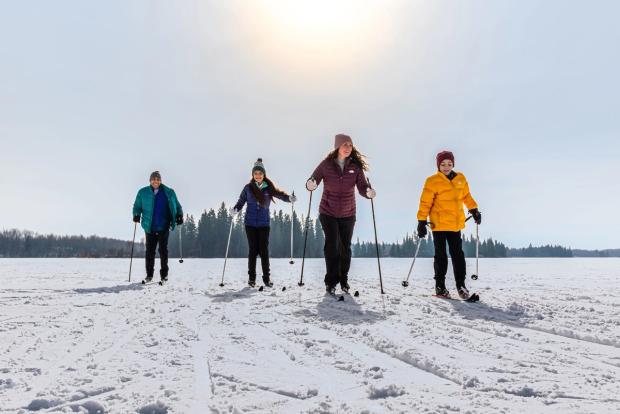 Family cross country skiing in the brilliant sunshine, in Elk Island Provincial Park.