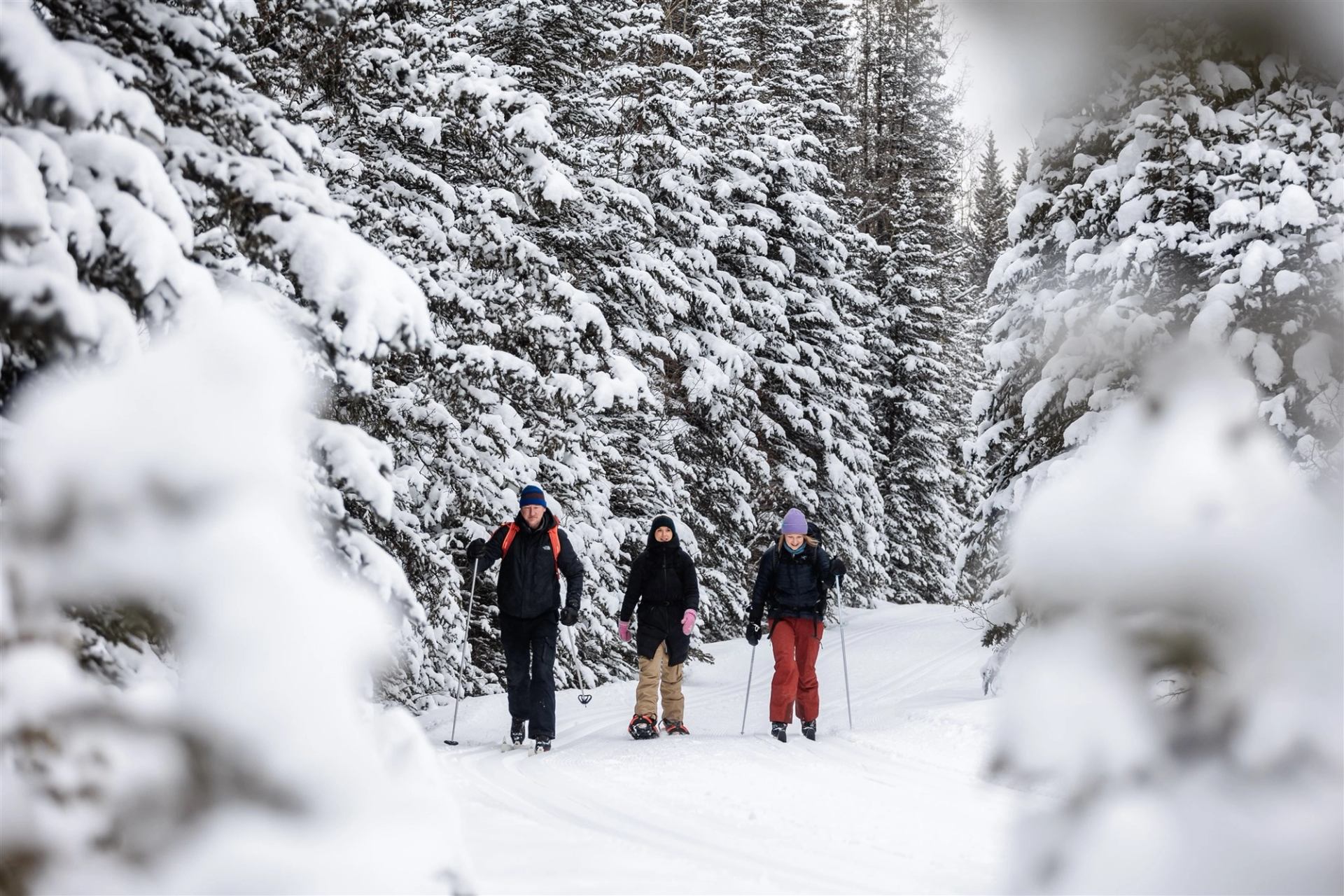 Three people snowshoe along a snowy trail lined with tall, snow-covered trees in Joachim Valley.