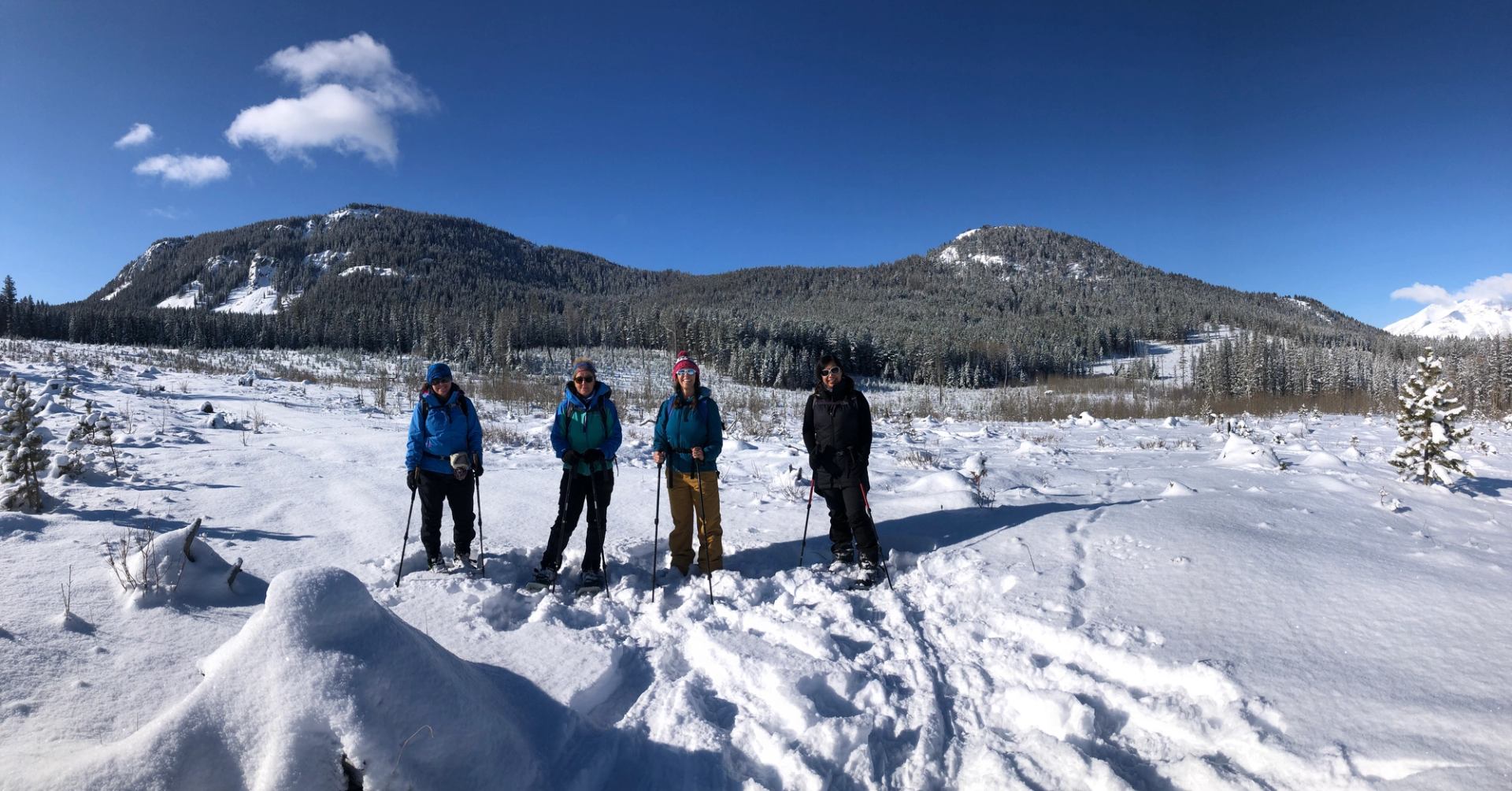 Group snowshoeing across a snowy valley with forested hills under a clear blue sky.