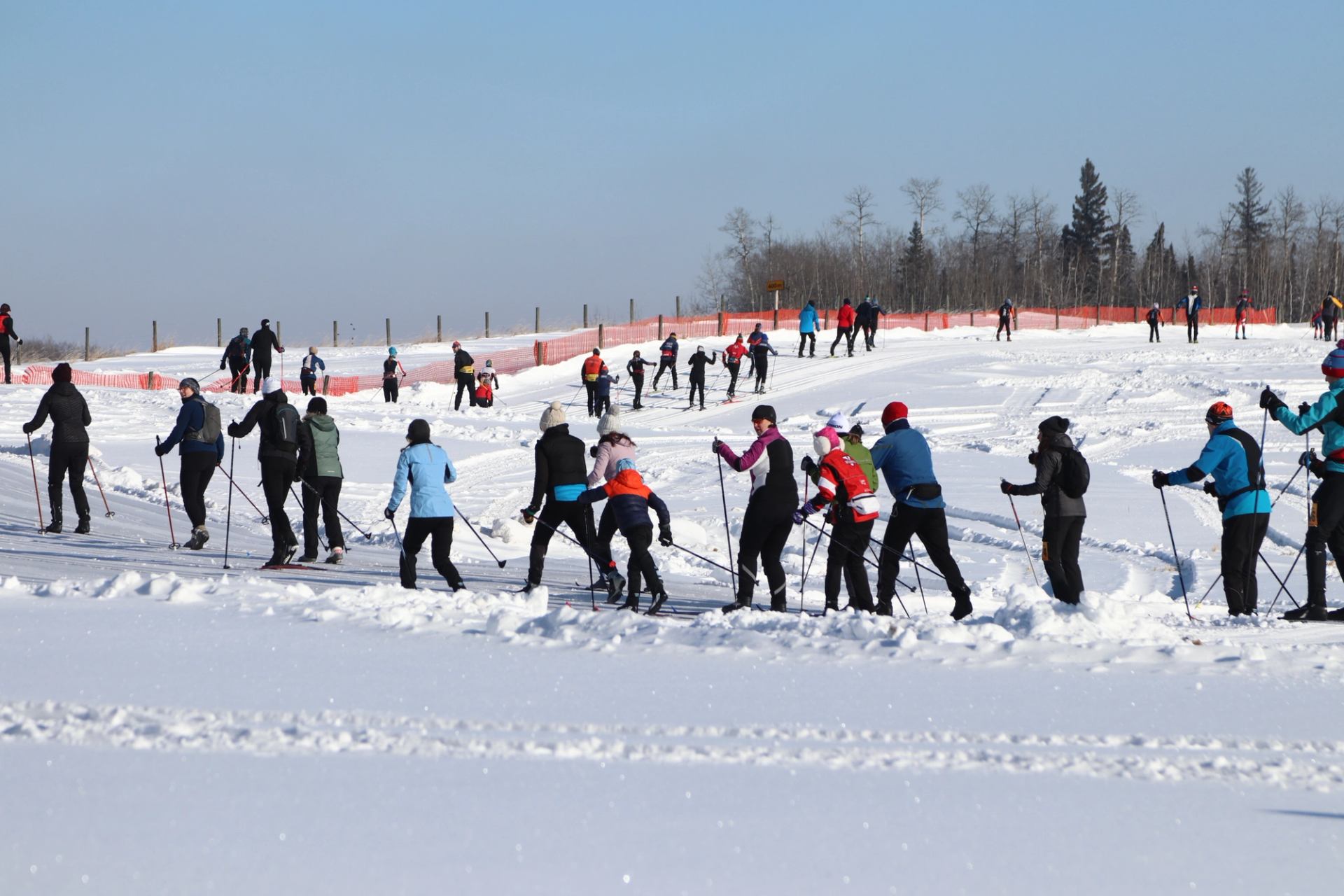 Skiers racing in the Canadian Birkie on a bright, snowy winter day.