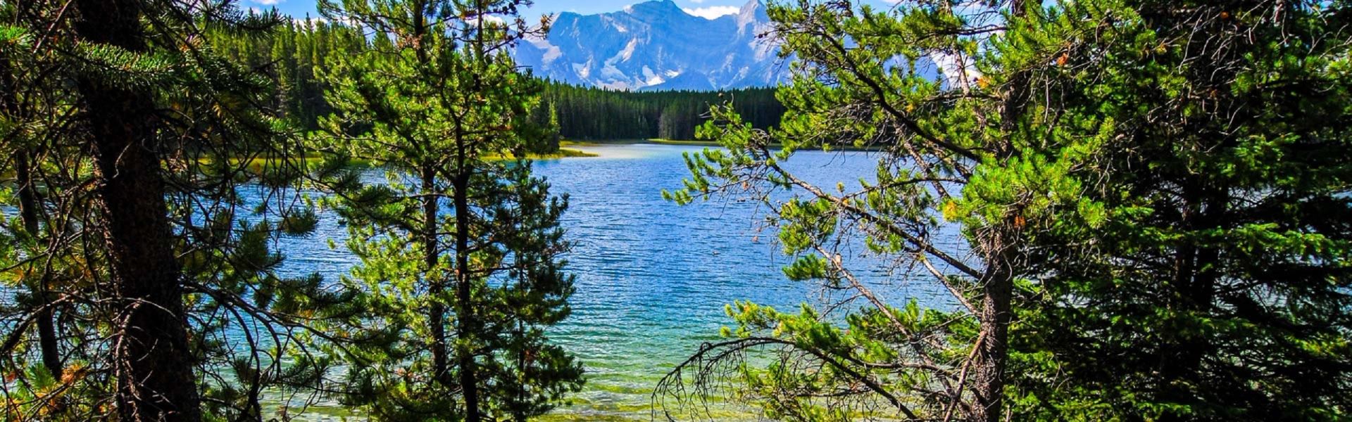 Evergreen trees frame a clear blue lake with distant forest and mountains.