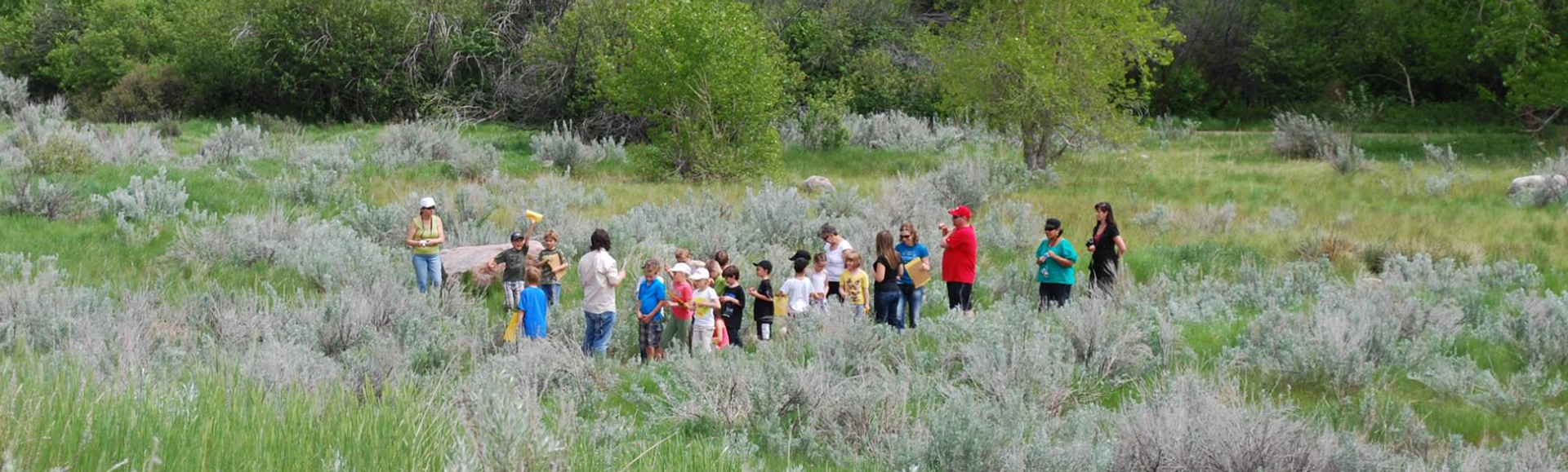 A group gathers in a natural grassland area during an educational outdoor program at the park.