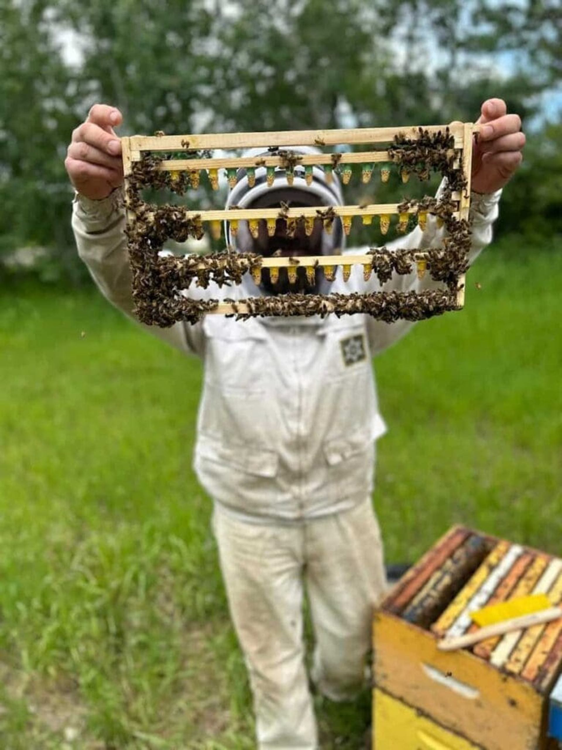 Gull Lake Honey Company showcases a queen-rearing frame with bees beside an open hive box.