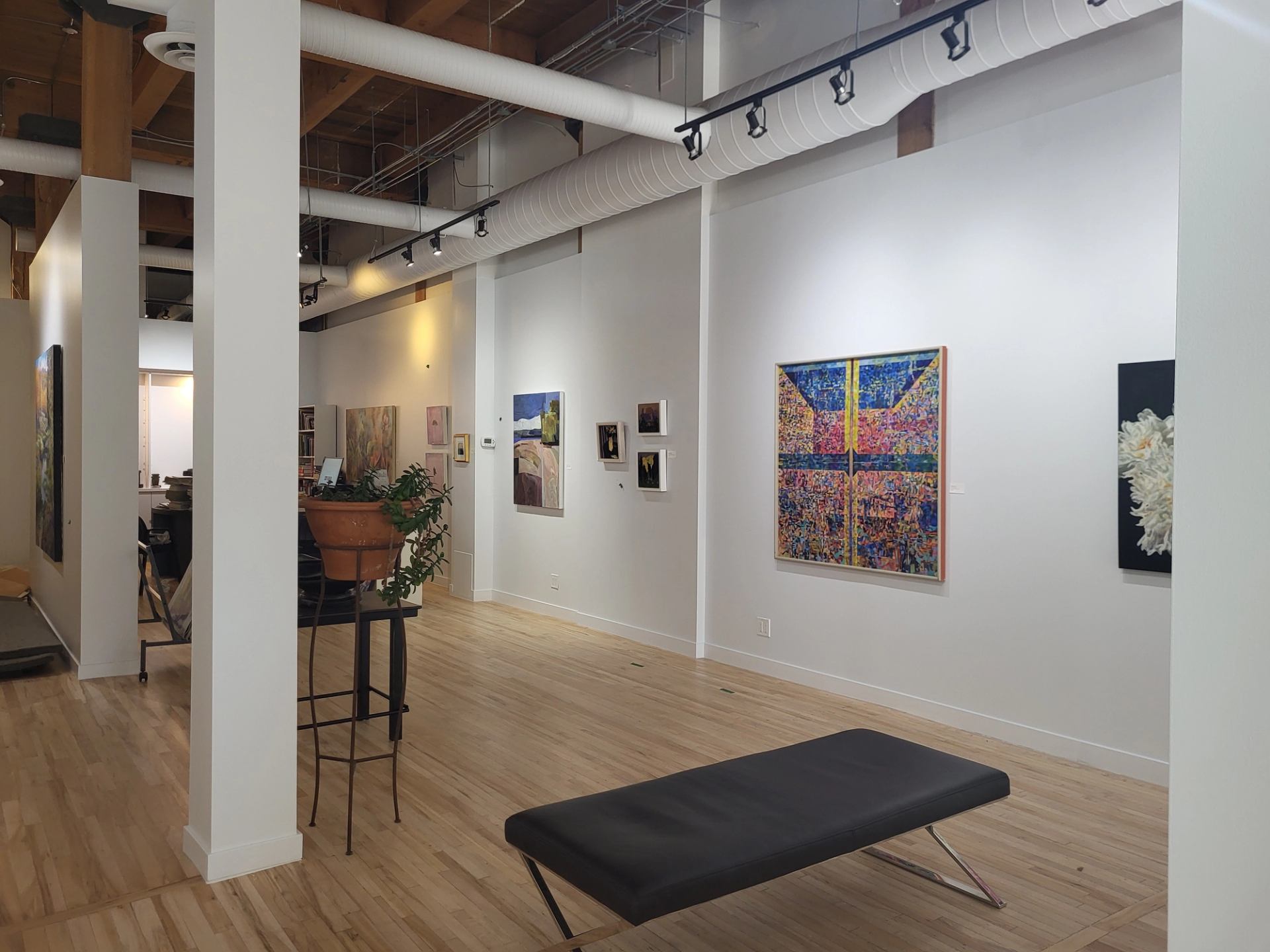 Art gallery interior with colourful paintings, white walls, wood flooring and a black bench.