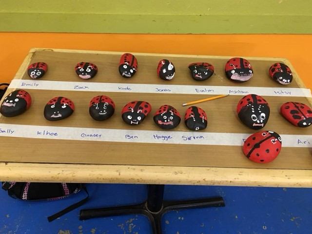 Rocks painted like ladybugs are arranged in rows on a wooden board with names written beneath each.