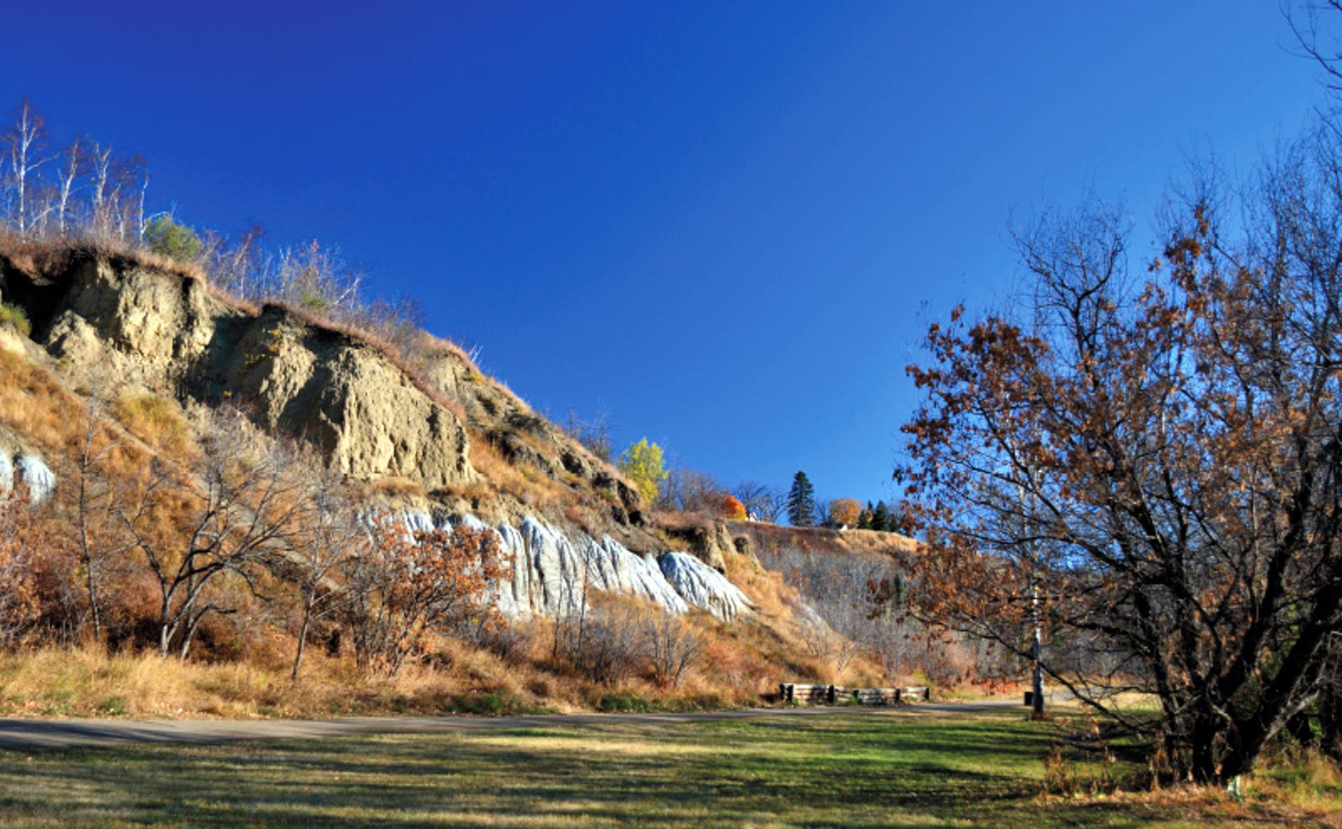Steep natural cliffs rise above grassy parkland under a clear blue sky at Dawson Park.