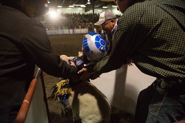 Rodeo rider being steadied on a bull in the chute before a ride inside an arena.