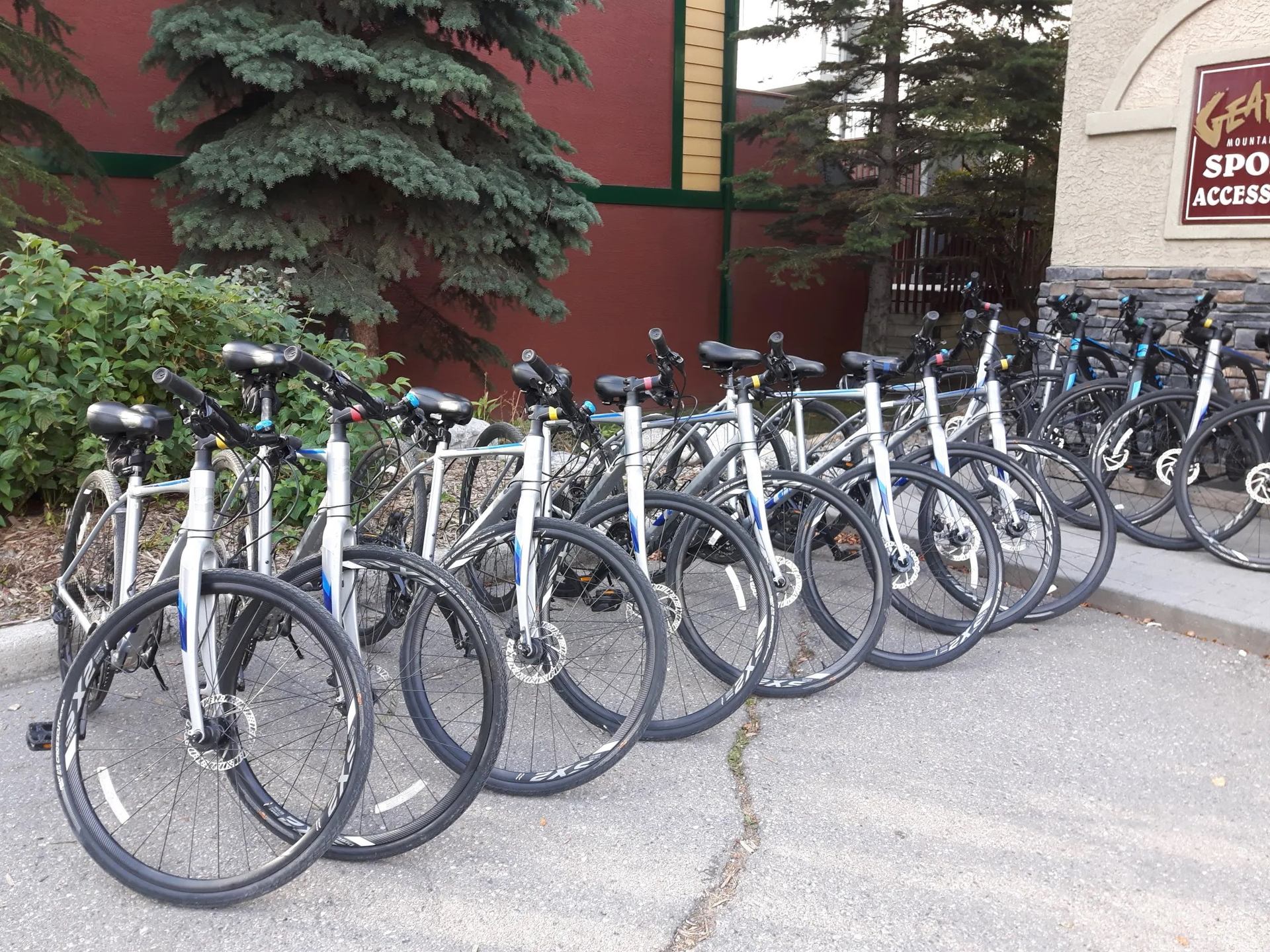 Row of parked bicycles outside a shop.