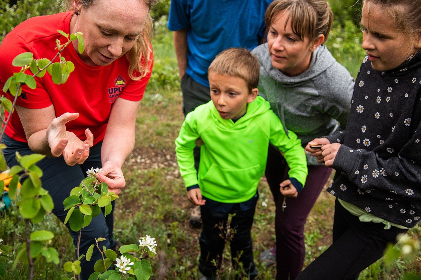 Guide shows a plant to a small group gathered closely on a forest trail.